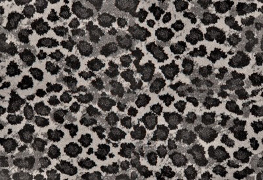 Ice Leopard