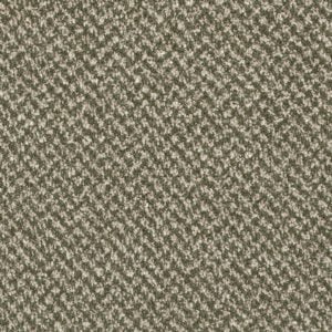 Smart Tweed Pixie
