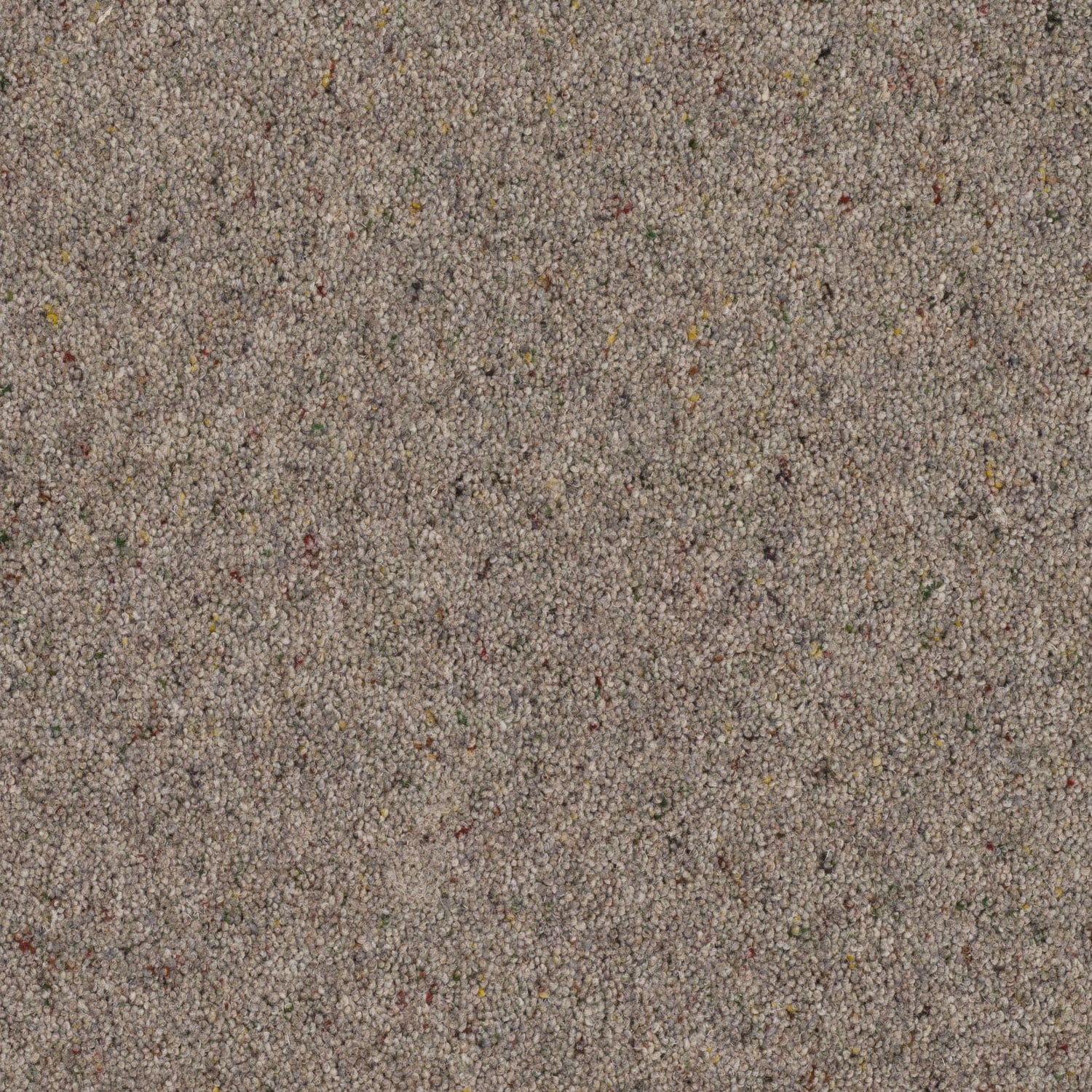 Shadow Grey