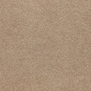 Tropical Sand