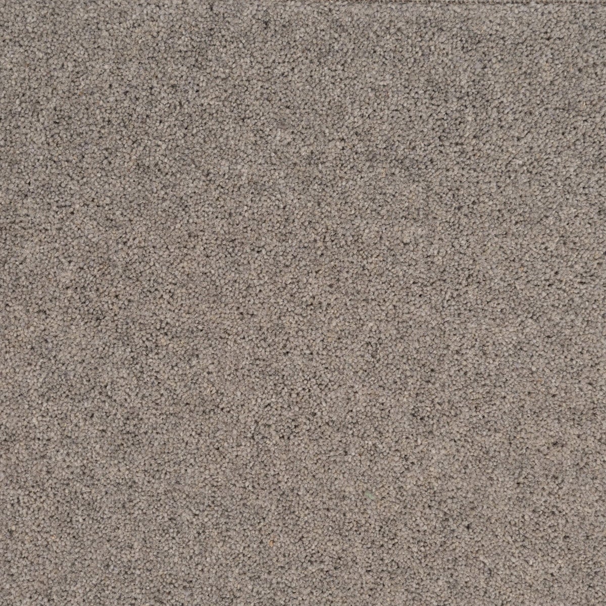Slatefield