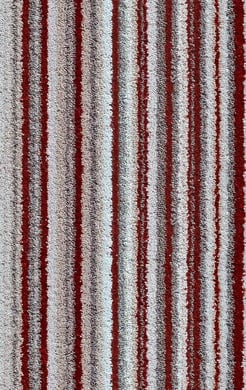 Mambo Stripe 1
