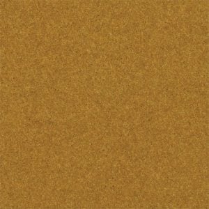 Mustard Seed