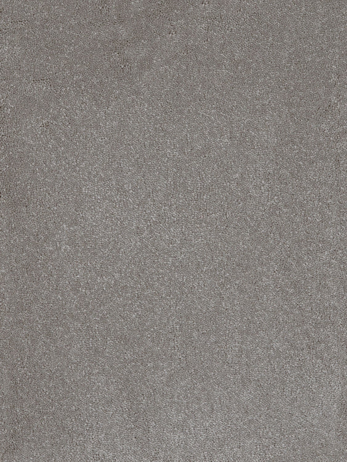Steel