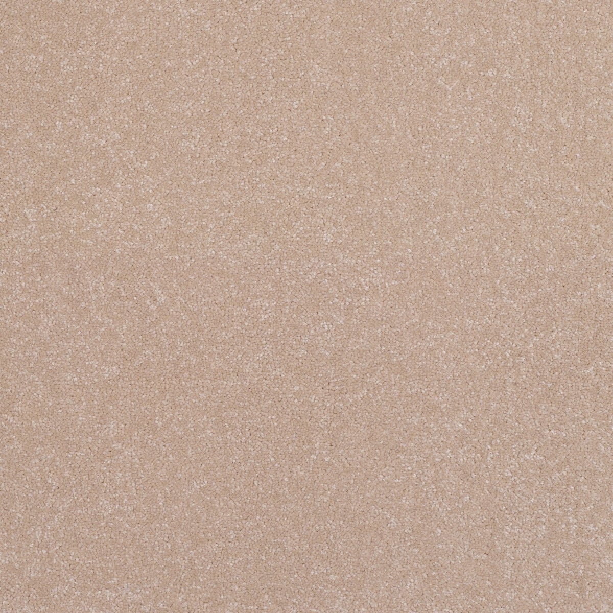 Tissue