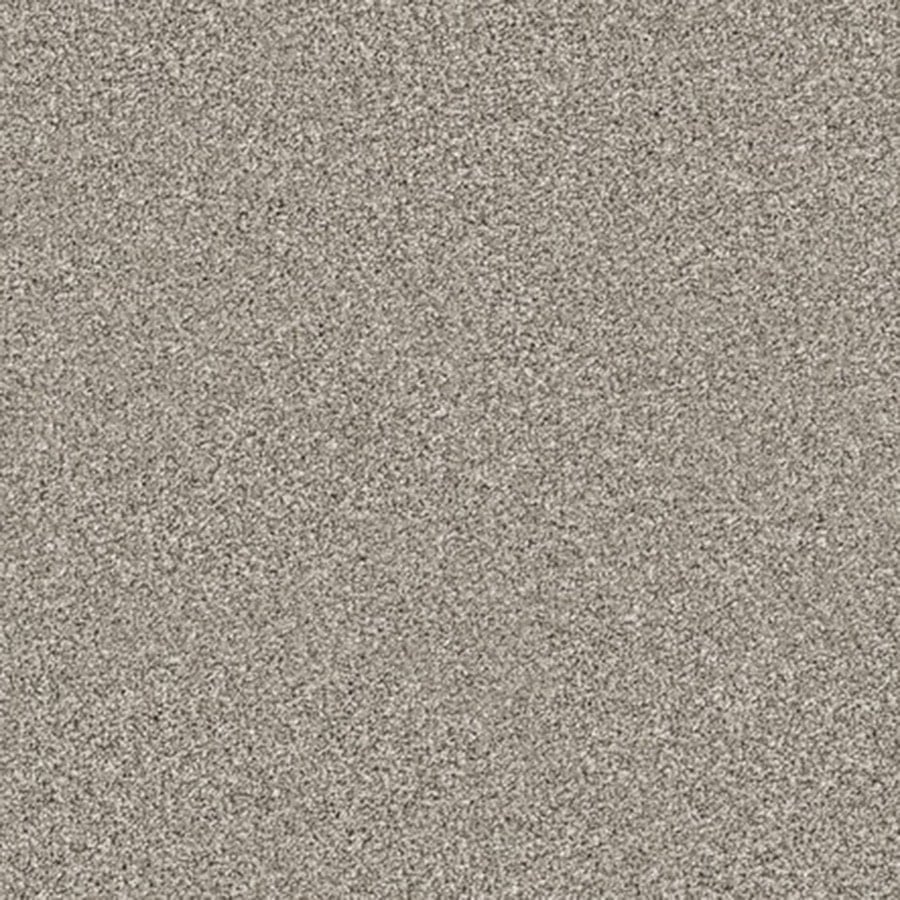 Poltair 565