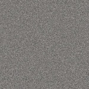 Polgoon 571