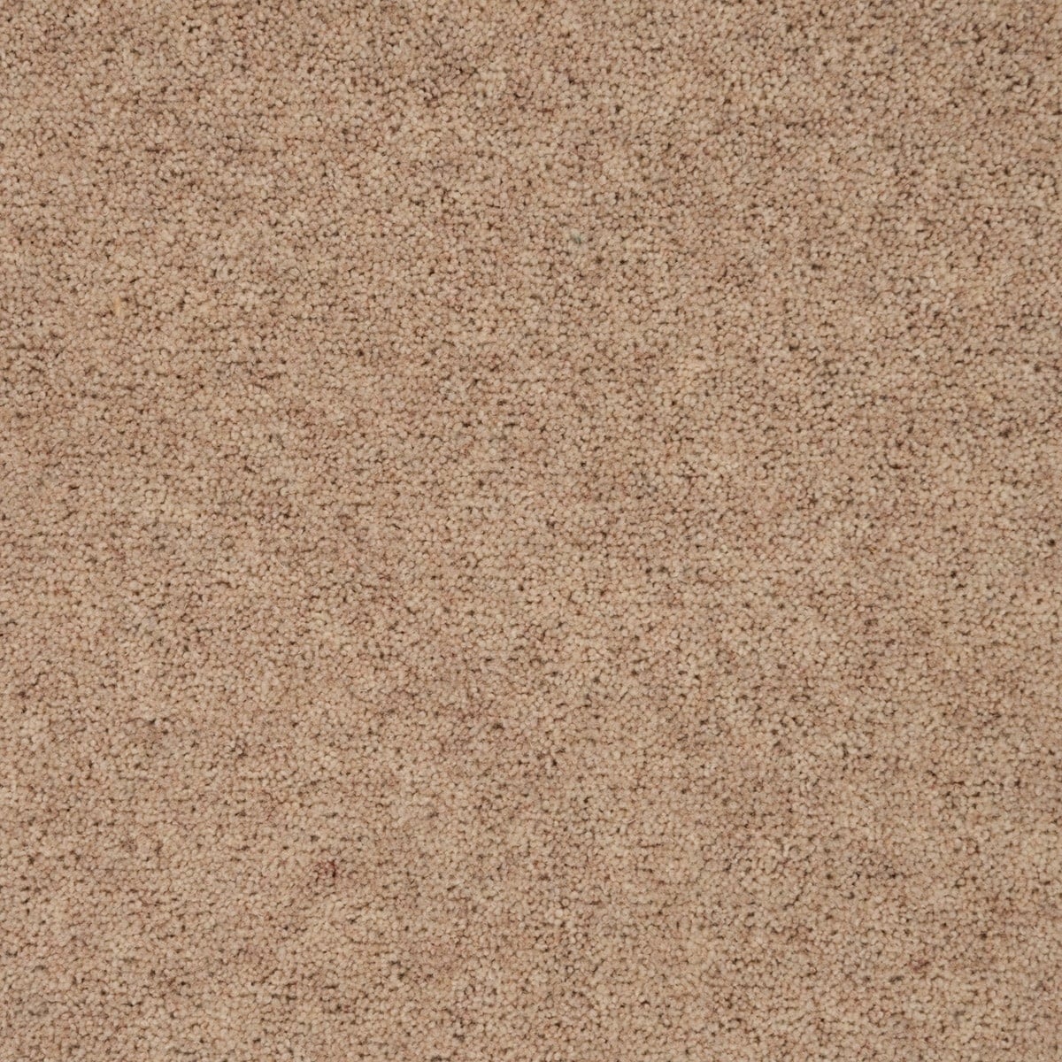 Rye