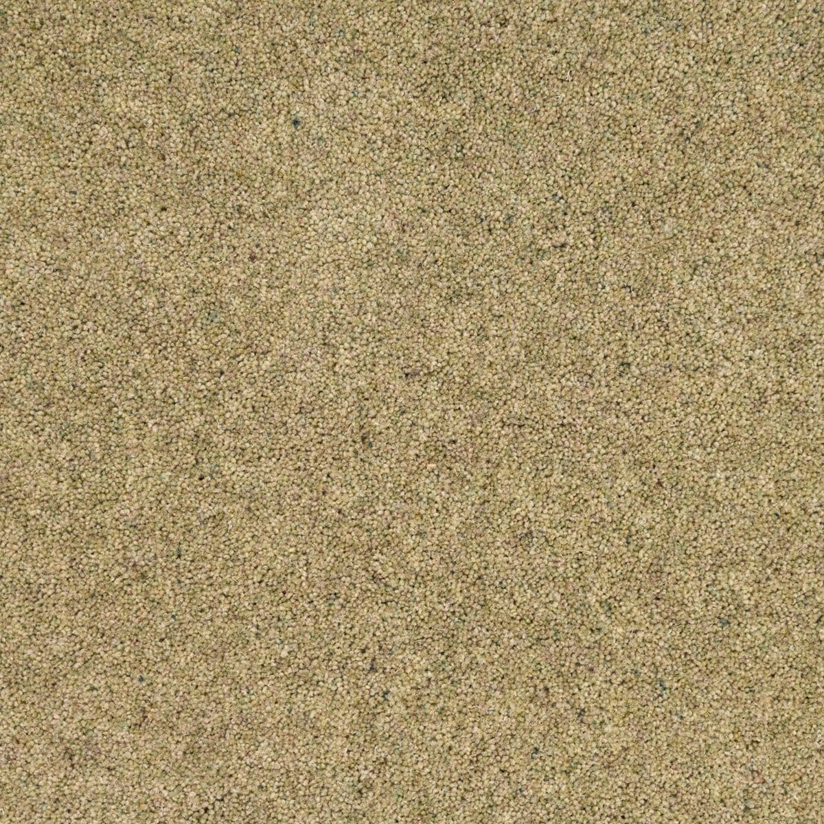 Grape