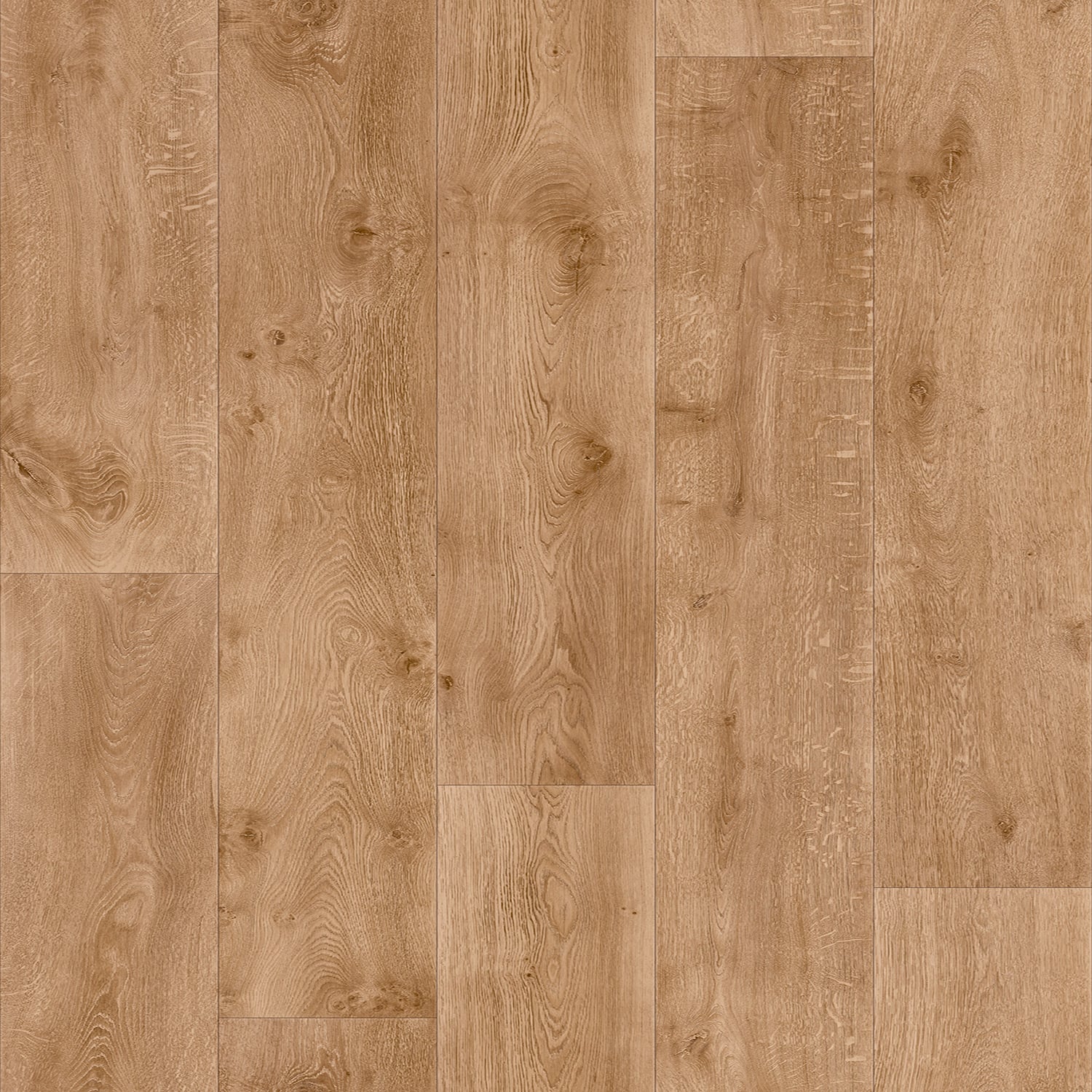 Warm Oak