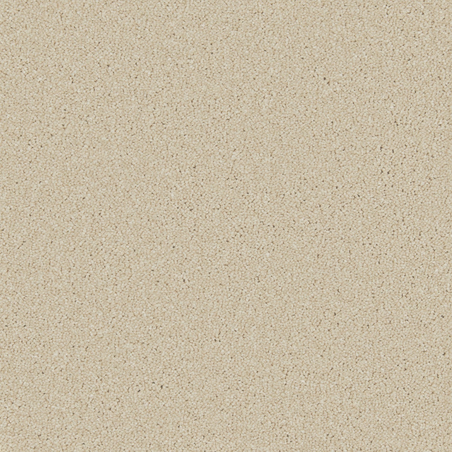 Caribou
