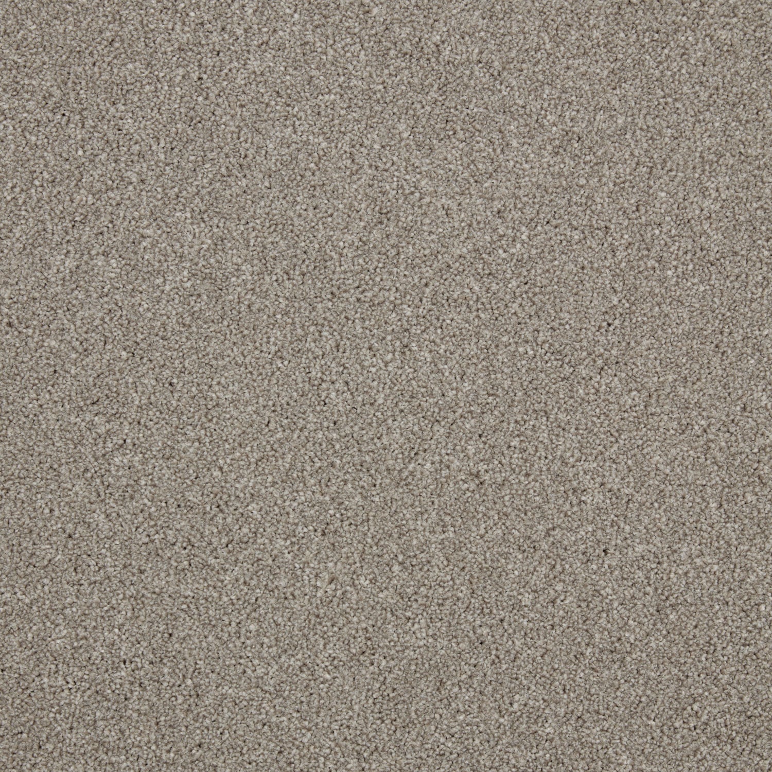 Harbour Grey