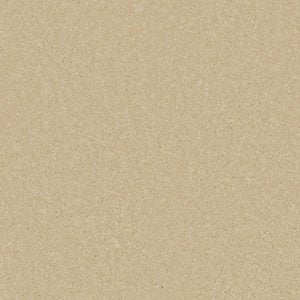 Palomino Gold