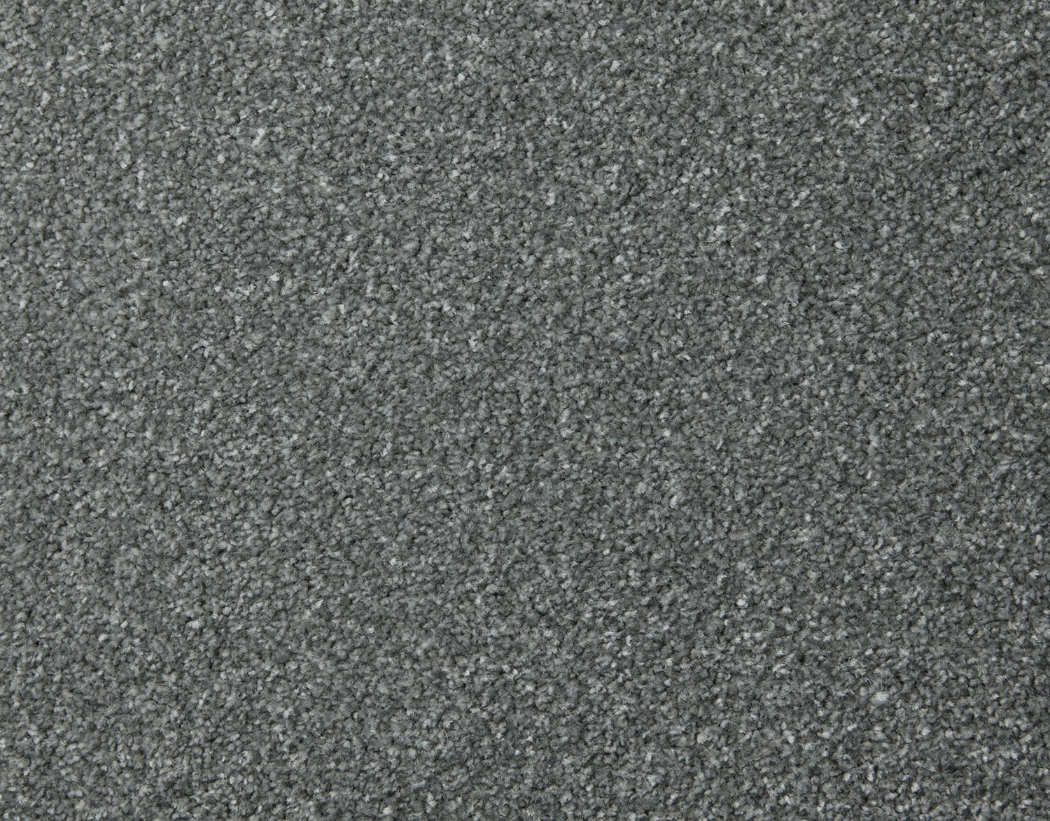 Coastal Grey