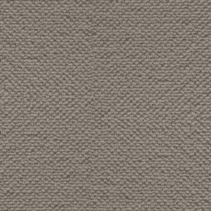 Greyfriar