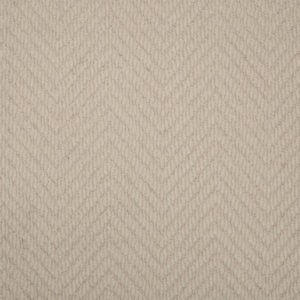 Plaster