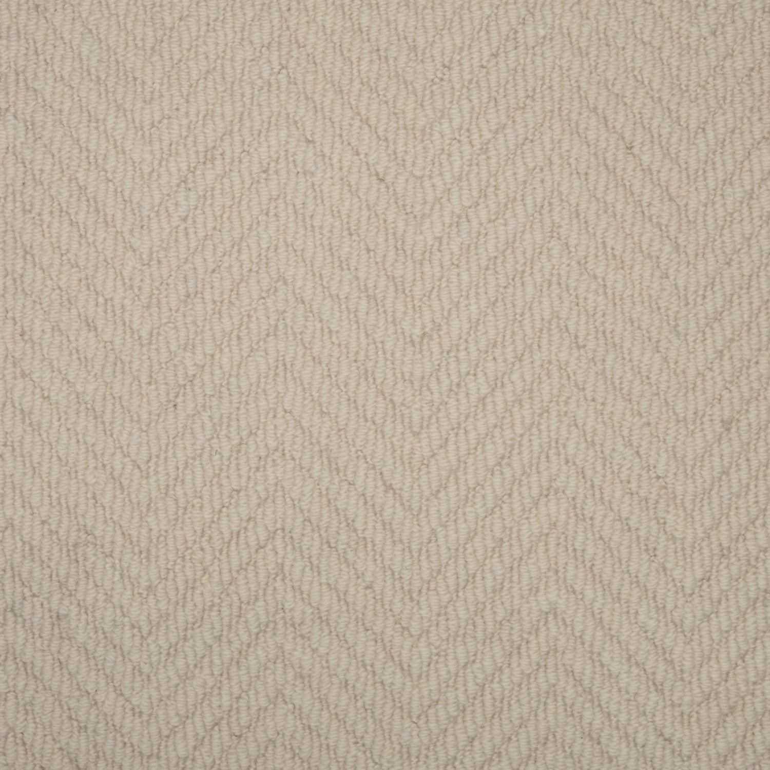 Plaster
