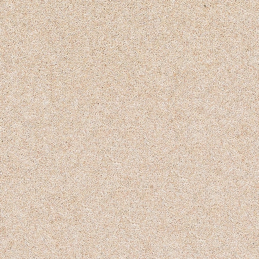 Muted Stone