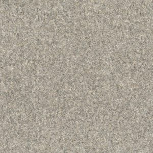 Arctic Grey