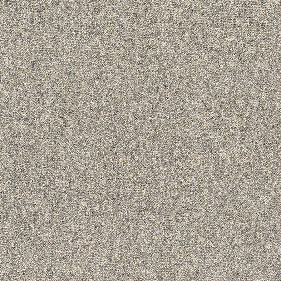 Arctic Grey