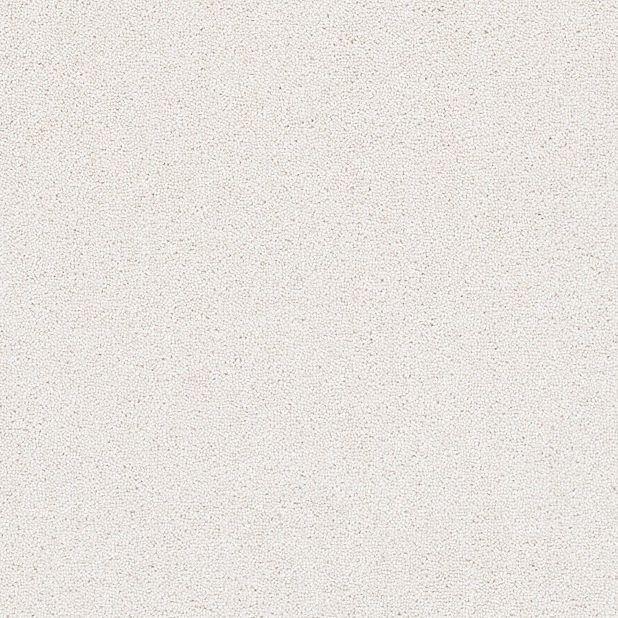 Old White