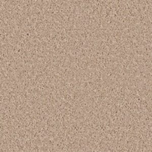 Sapwood