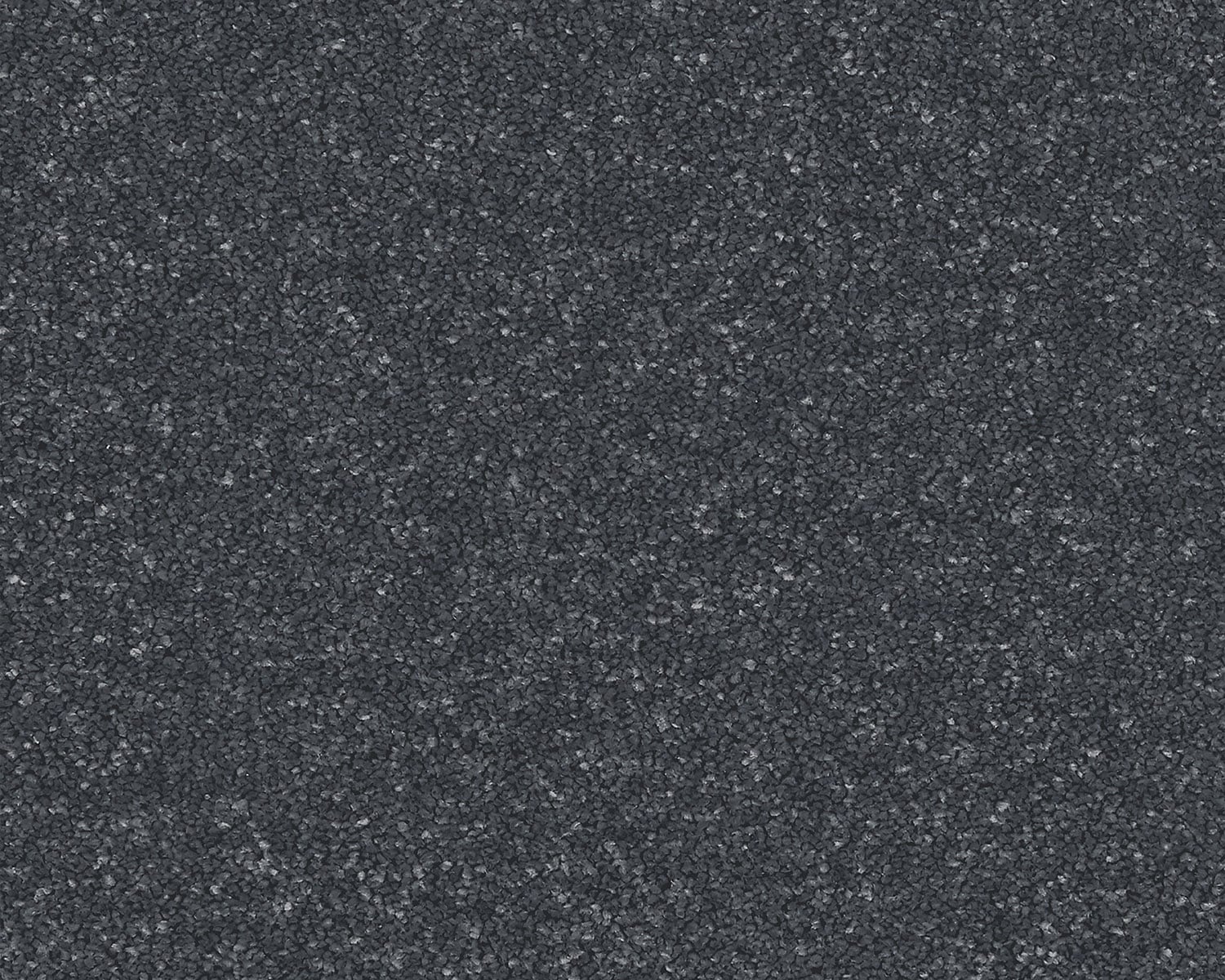 Juniper Grey