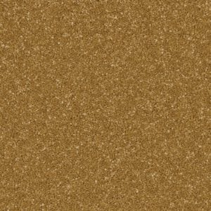 Midas Touch