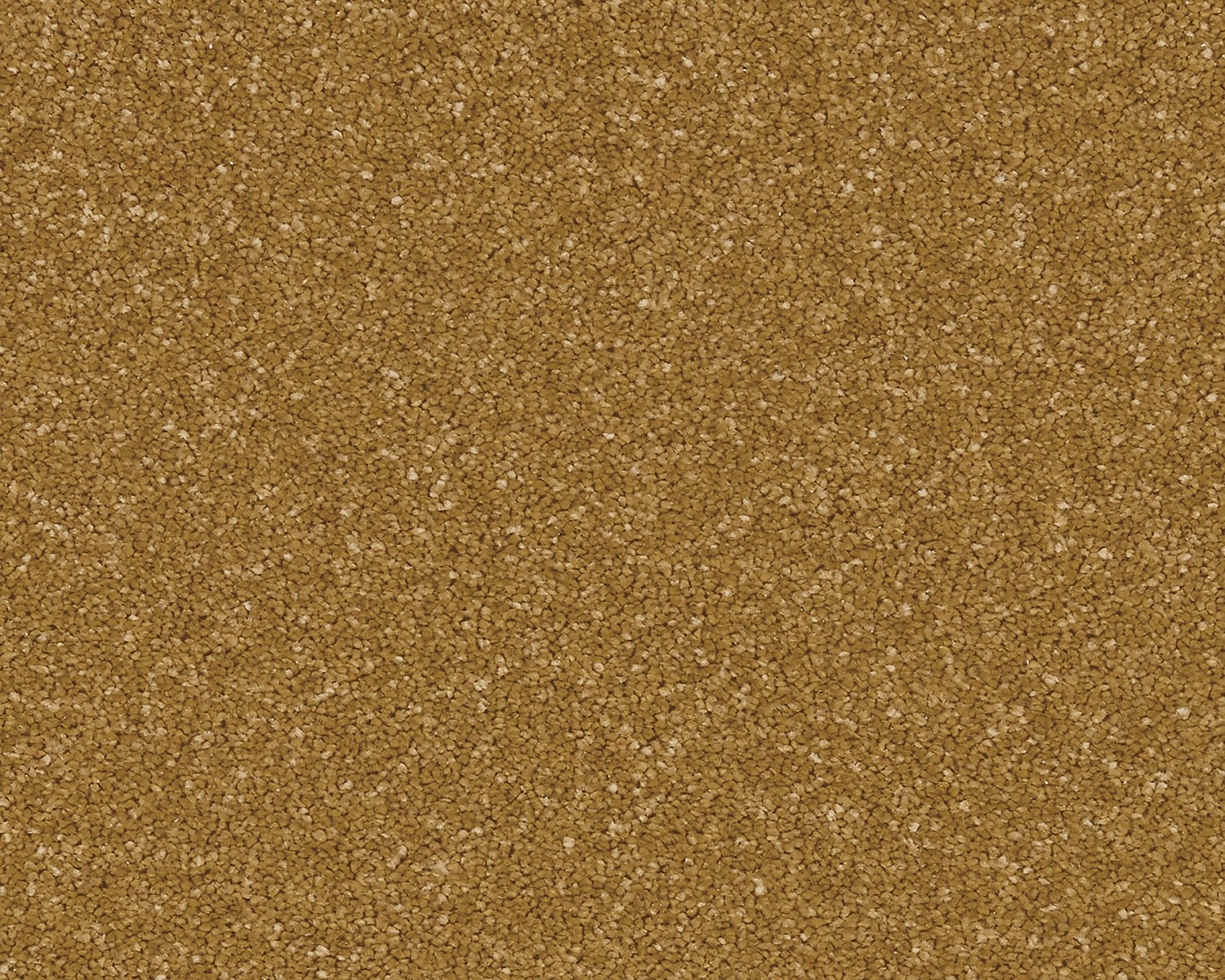 Midas Touch