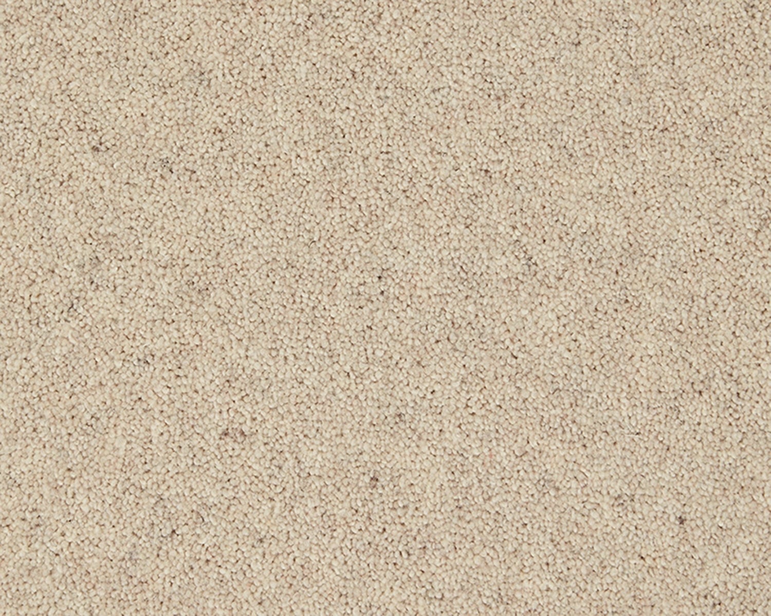 Papyrus