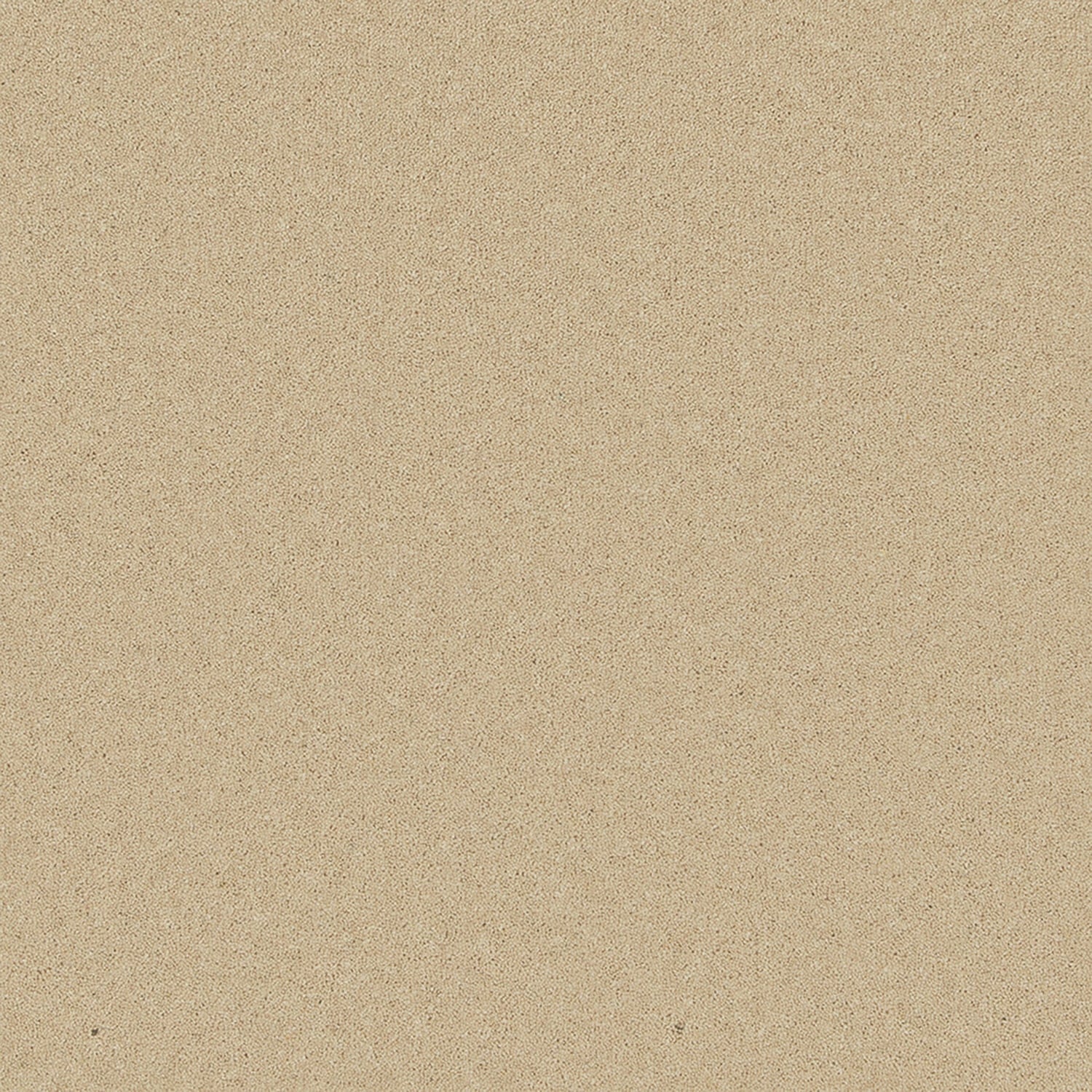 Caraway