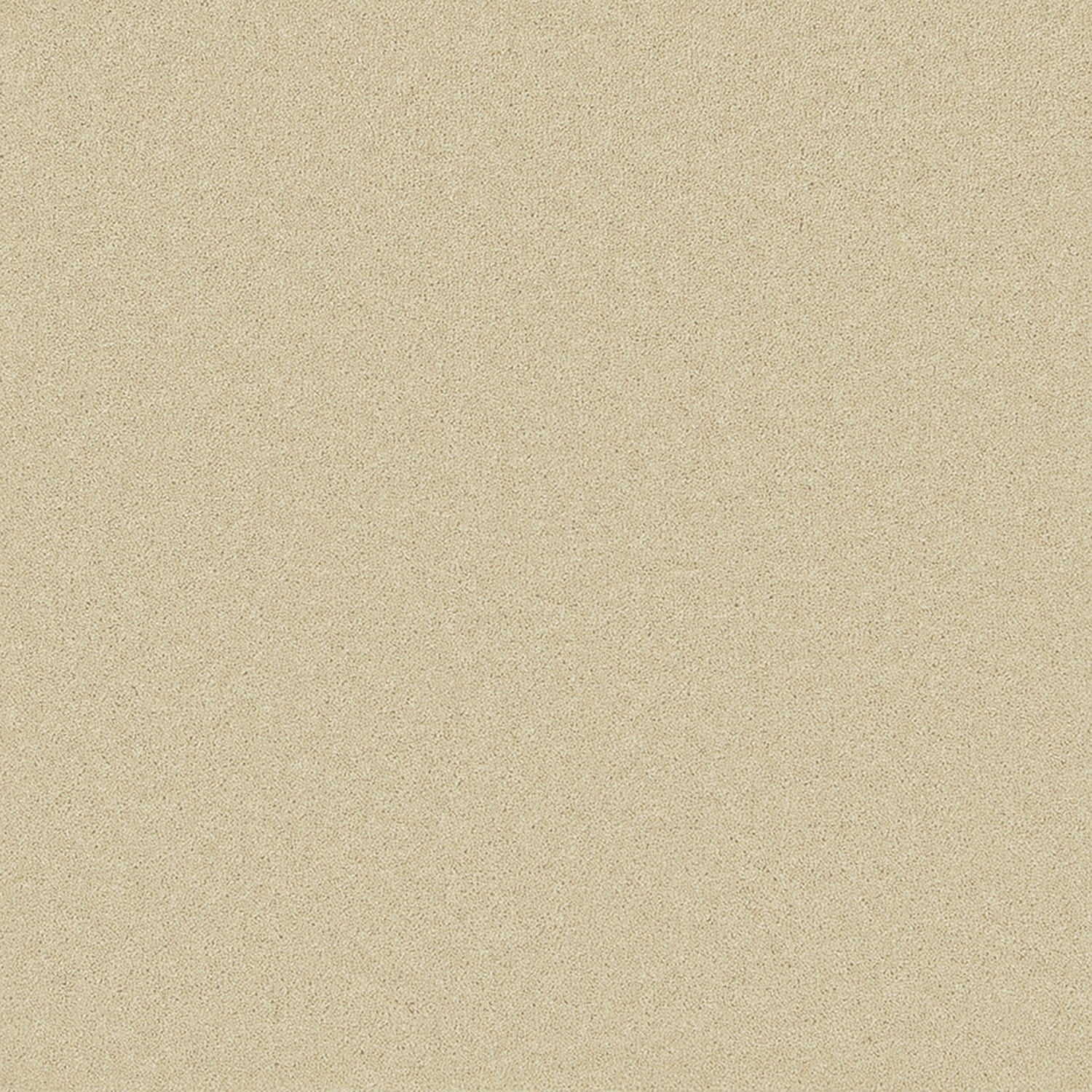 Egyptian Cotton