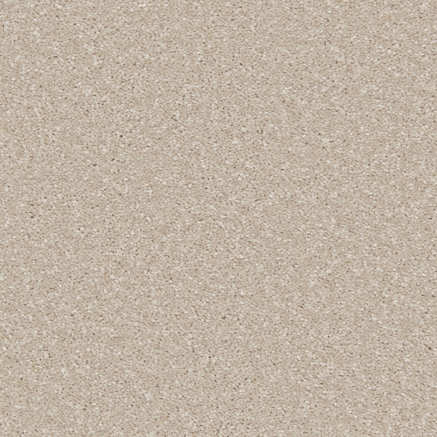 Periwinkle
