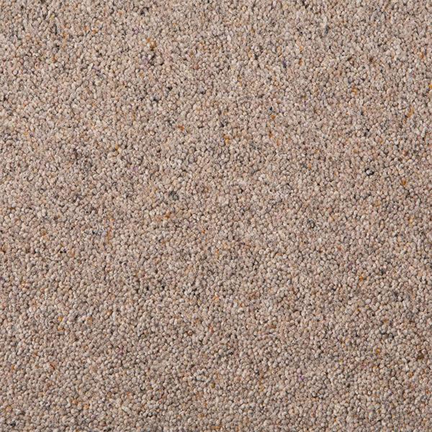 Pebble Shore
