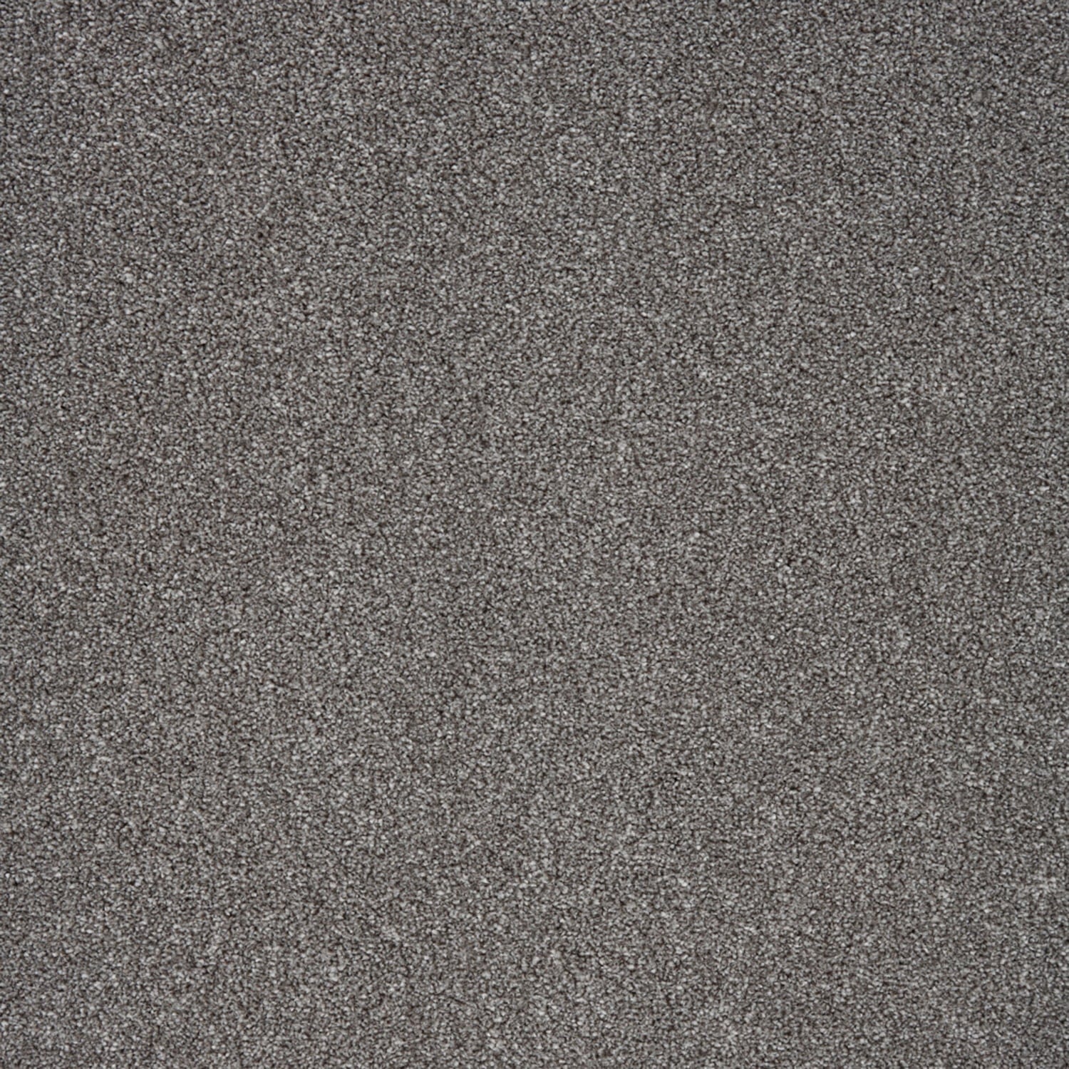 Anchor Grey