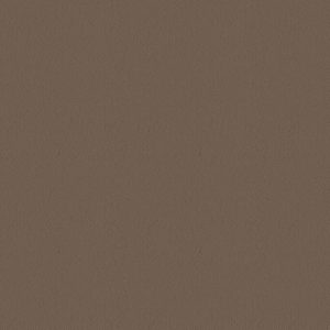 Dark Taupe