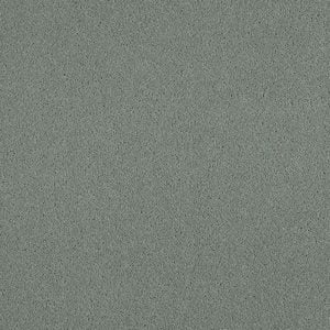 Wood Pigeon