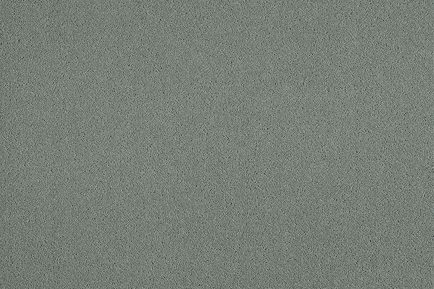 Wood Pigeon